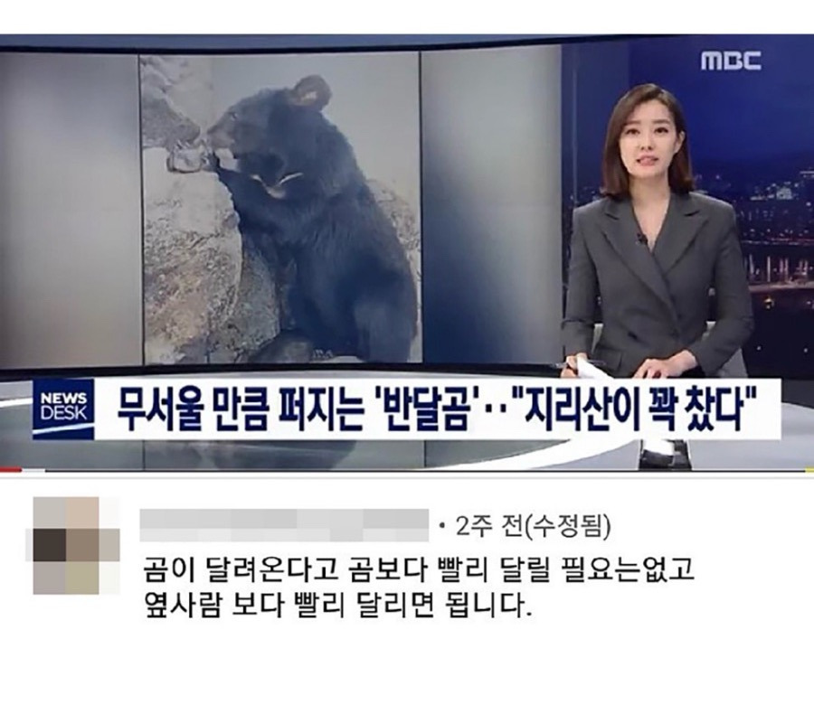 선 넘는 개그가 취향이라 참 난감하다 | 인스티즈