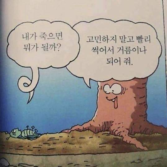 선 넘는 개그가 취향이라 참 난감하다 | 인스티즈
