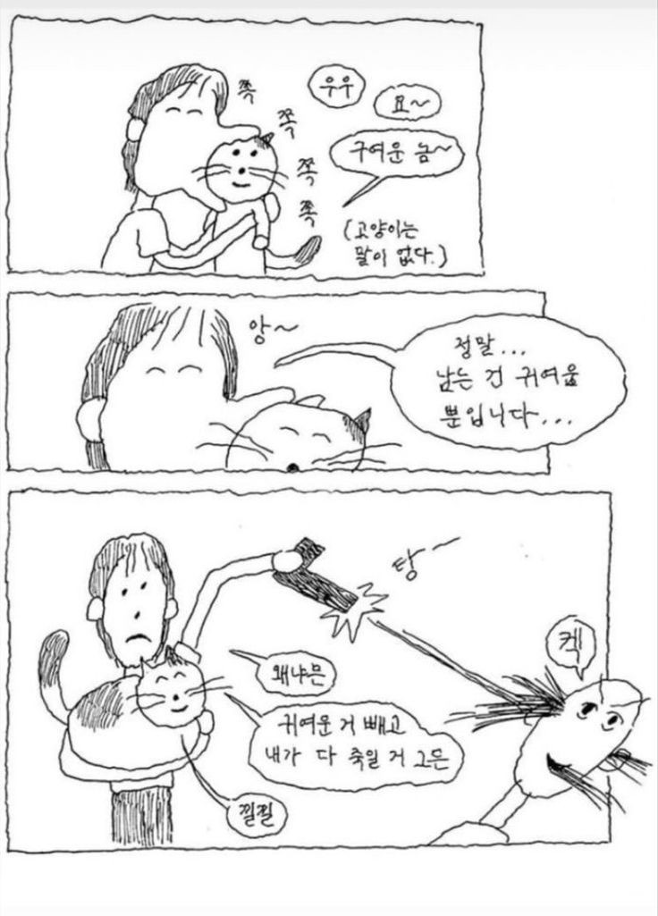 선 넘는 개그가 취향이라 참 난감하다 | 인스티즈