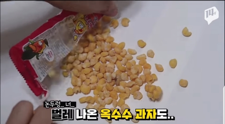 험하게 자랐던 90년대 초딩들 | 인스티즈