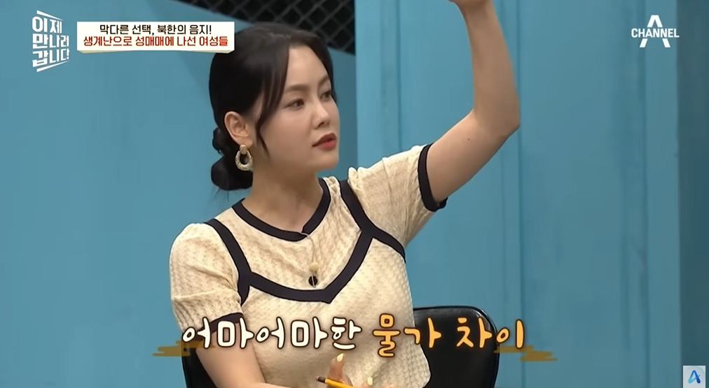 북한에서 조직화되었다는 산업 | 인스티즈