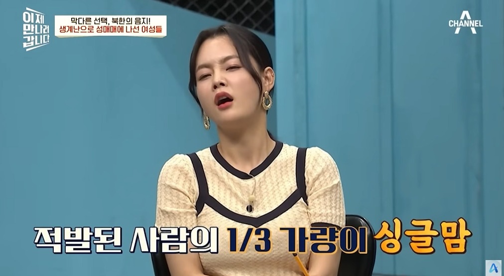 북한에서 조직화되었다는 산업 | 인스티즈