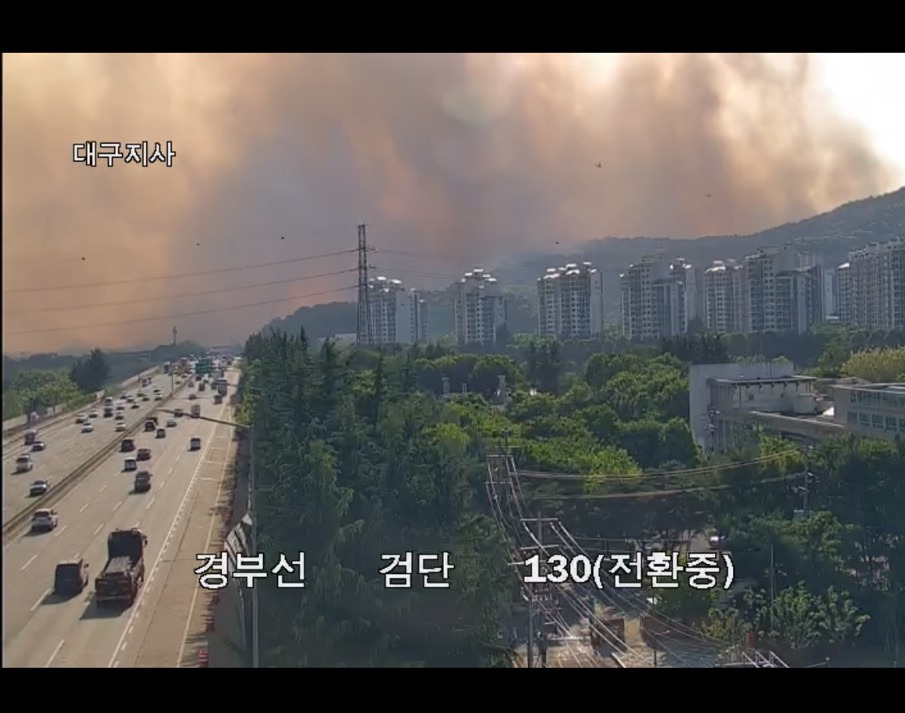  여시들 대구에 산불 났어
