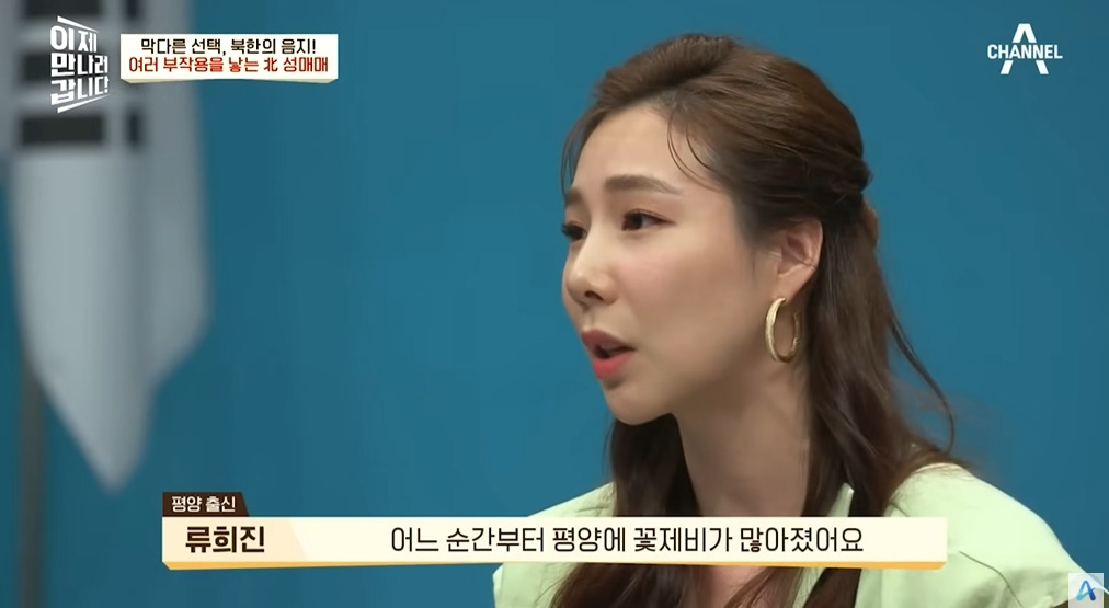 북한에서 조직화되었다는 산업 | 인스티즈