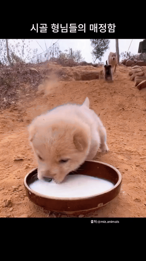 형제 자매 많은 집안 애들이 식탐이 많은 이유ㅋㅋㅋㅋㅋㅋㅋ | 인스티즈