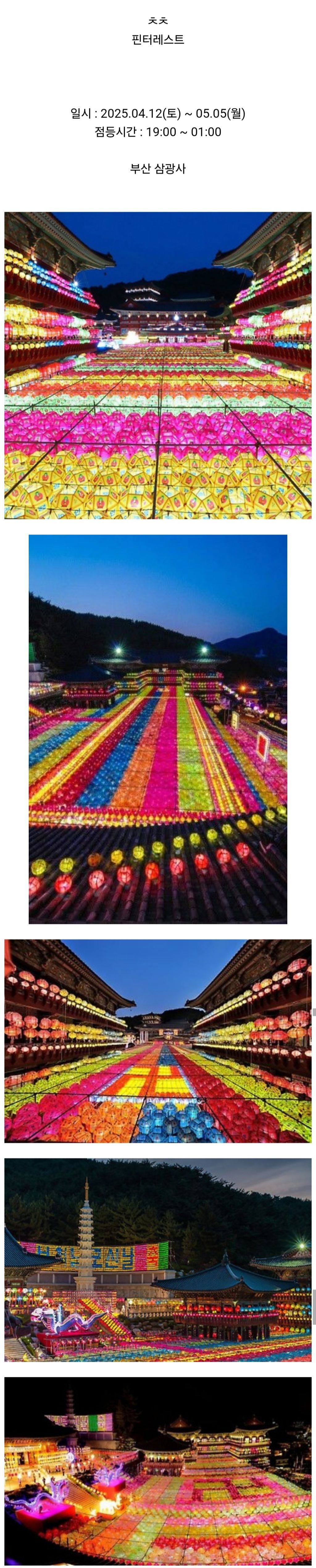  오늘부터 시작되는 2025 부산 삼광사 연등축제 (4/12~5/5)