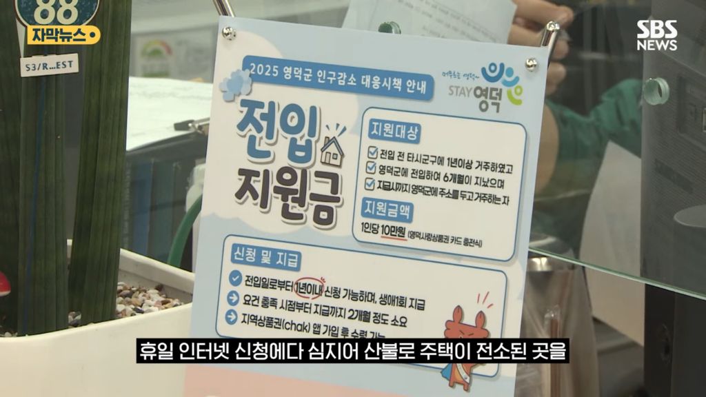 산불 이후 인구가 늘어난 안동 | 인스티즈