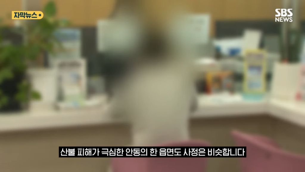 산불 이후 인구가 늘어난 안동 | 인스티즈
