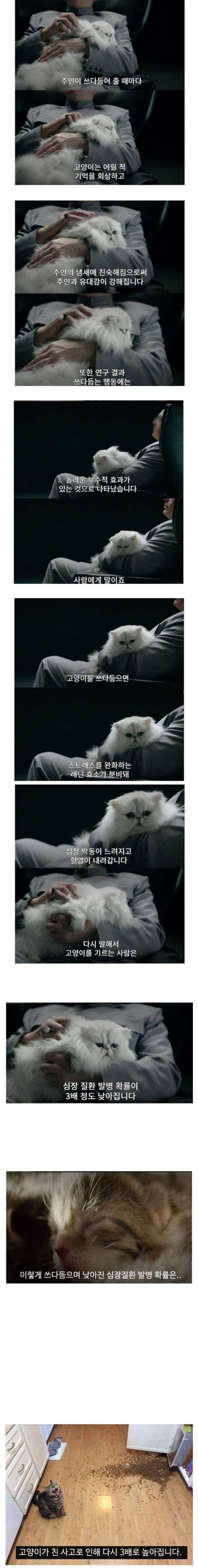  고양이를 쓰다듬으면 발생하는 신체의 변화