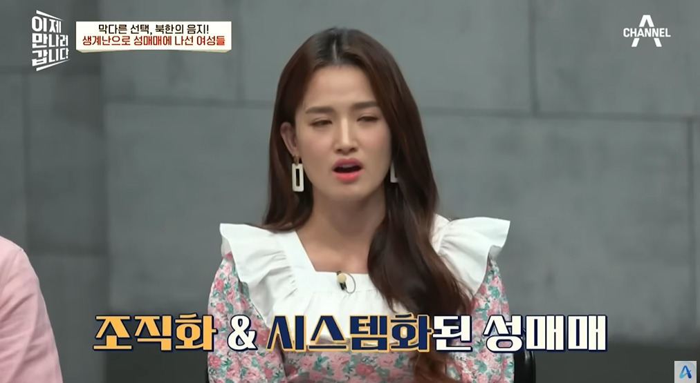 북한에서 조직화되었다는 산업 | 인스티즈