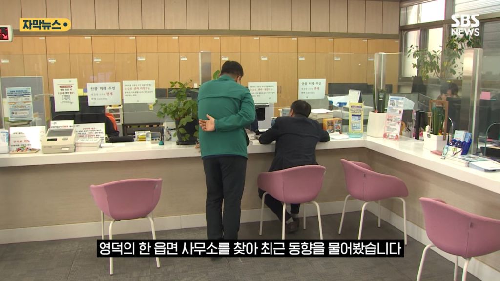 산불 이후 인구가 늘어난 안동 | 인스티즈