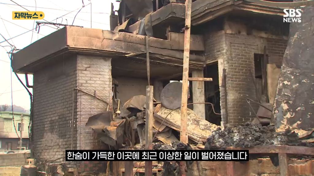 산불 이후 인구가 늘어난 안동 | 인스티즈