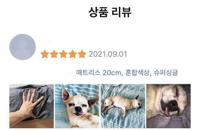  신뢰도 넘치는 매트리스 구매 후기