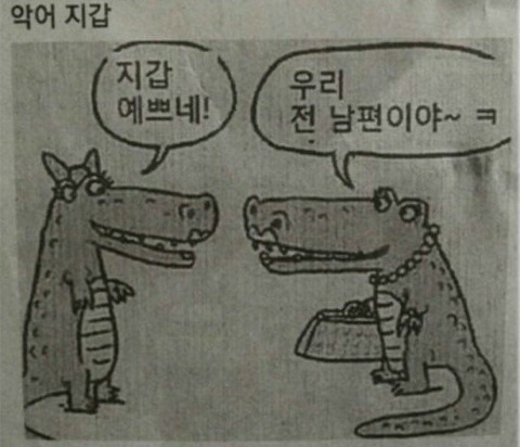선 넘는 개그가 취향이라 참 난감하다 | 인스티즈