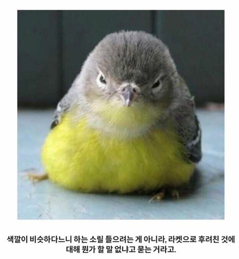 선 넘는 개그가 취향이라 참 난감하다 | 인스티즈
