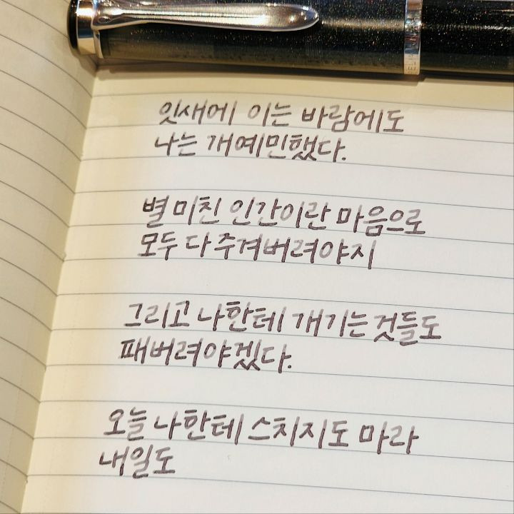 선 넘는 개그가 취향이라 참 난감하다 | 인스티즈