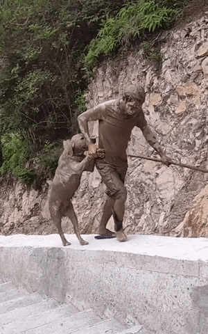  대형견 산책하고 집에 가는길.JPGIF