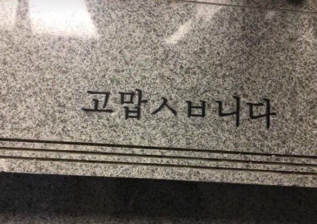 선 넘는 개그가 취향이라 참 난감하다 | 인스티즈