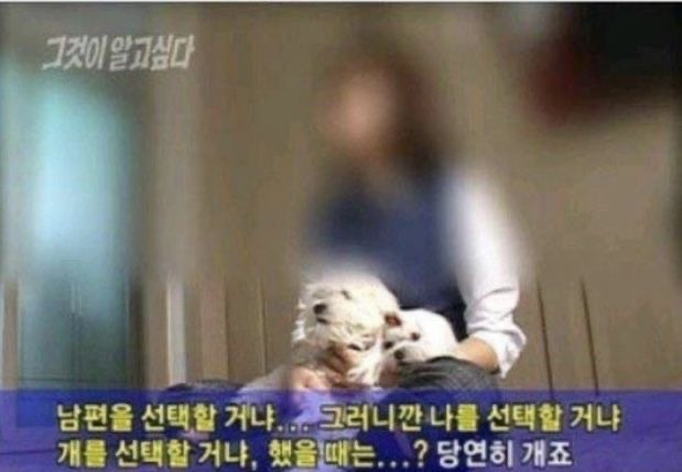  선 넘는 개그가 취향이라 참 난감하다