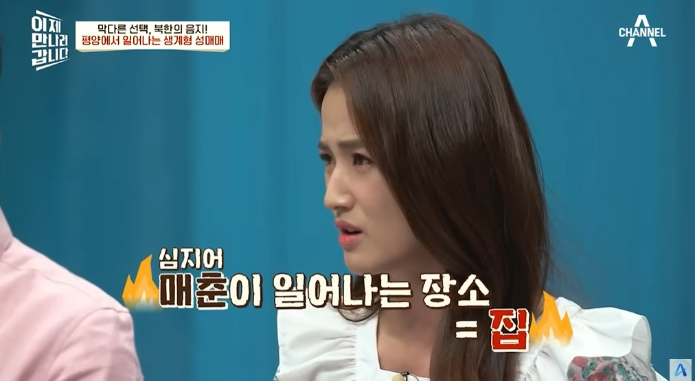 북한에서 조직화되었다는 산업 | 인스티즈