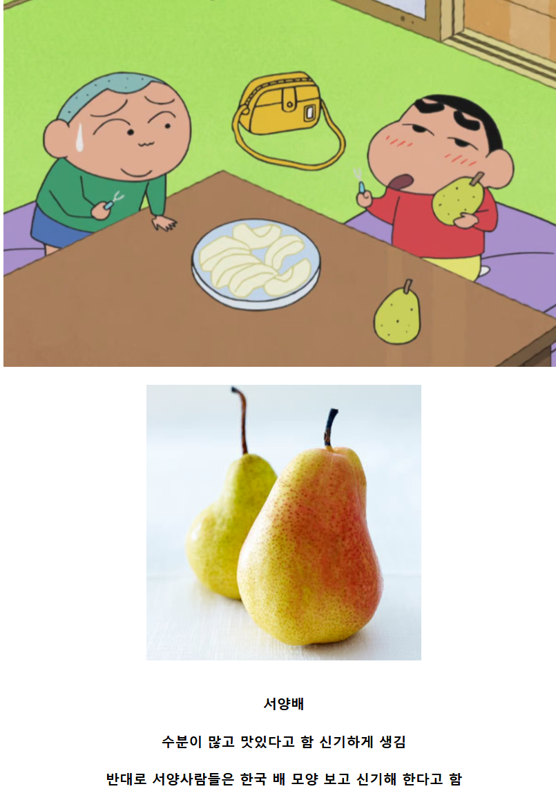  한국에선 쉽게 보기 어렵지만 맛있다는 과일.JPG
