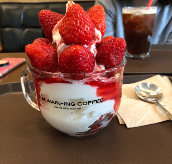  요거트 아이스크림이 진짜 맛있는 걸로 유명한 지방 카페 체인