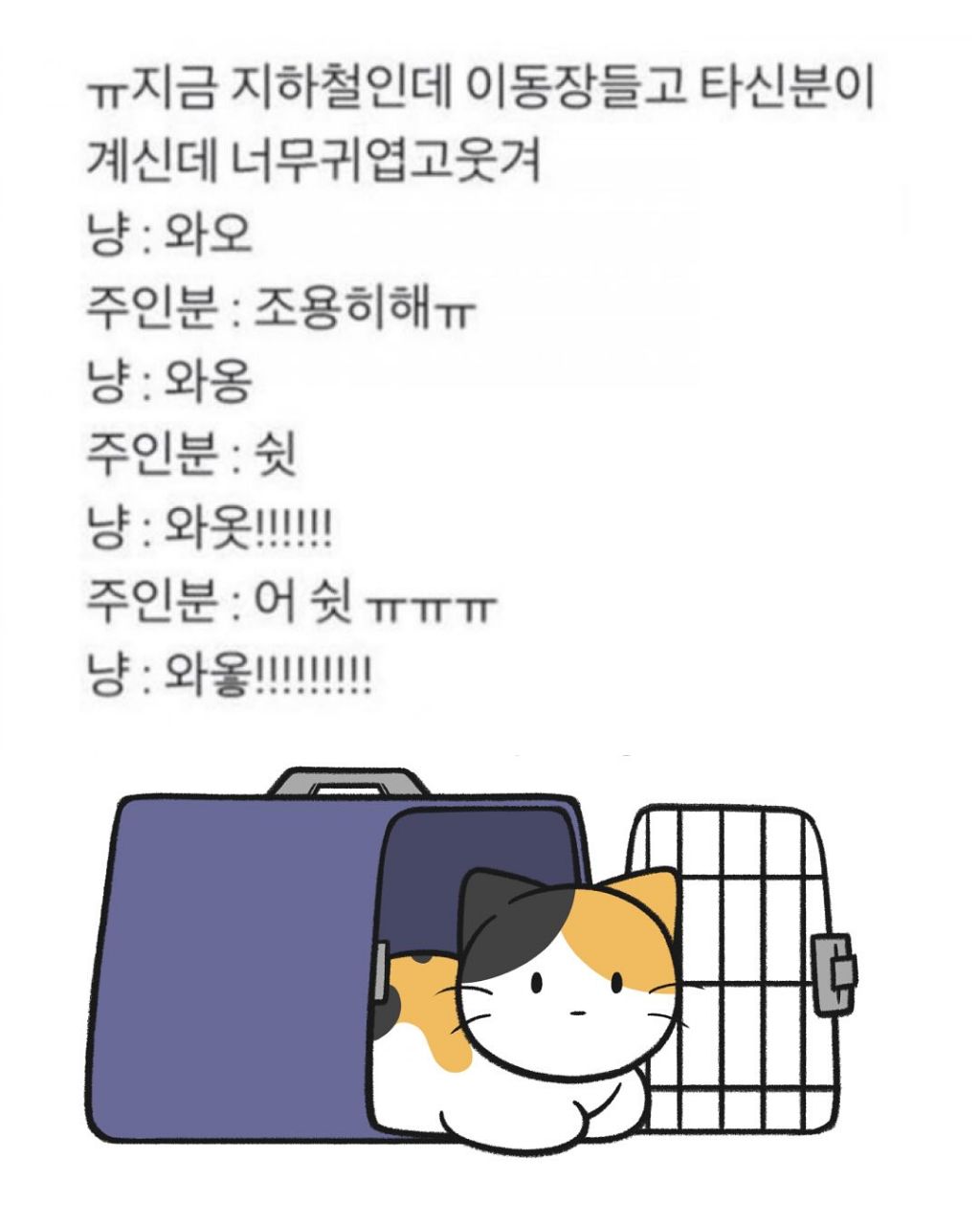택시기사 아저씨 절대 지각 안하게 해주겠다고 하시더니 | 인스티즈