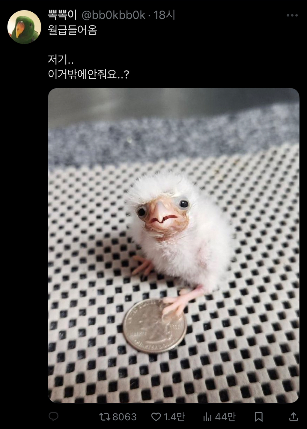 월급 들어옴 | 인스티즈