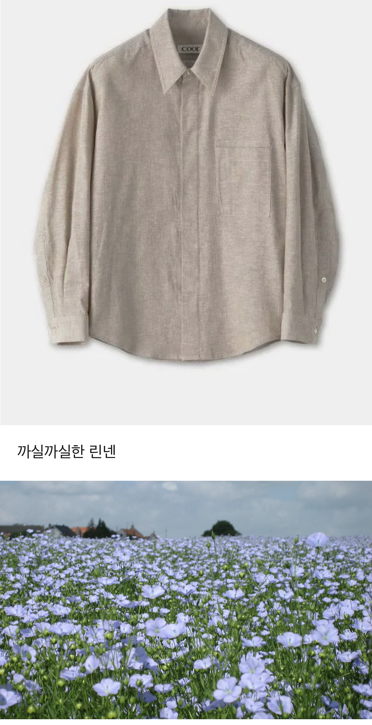 식물에 대한 TMI | 인스티즈