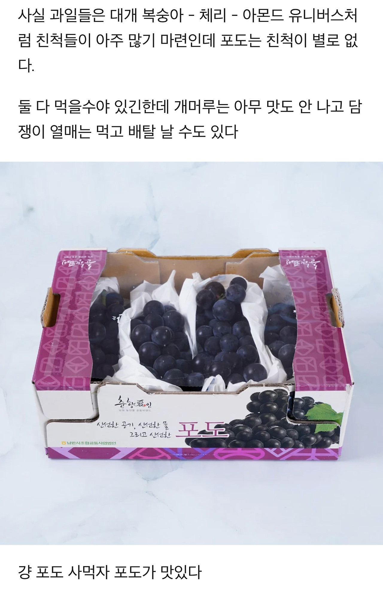 식물에 대한 TMI | 인스티즈
