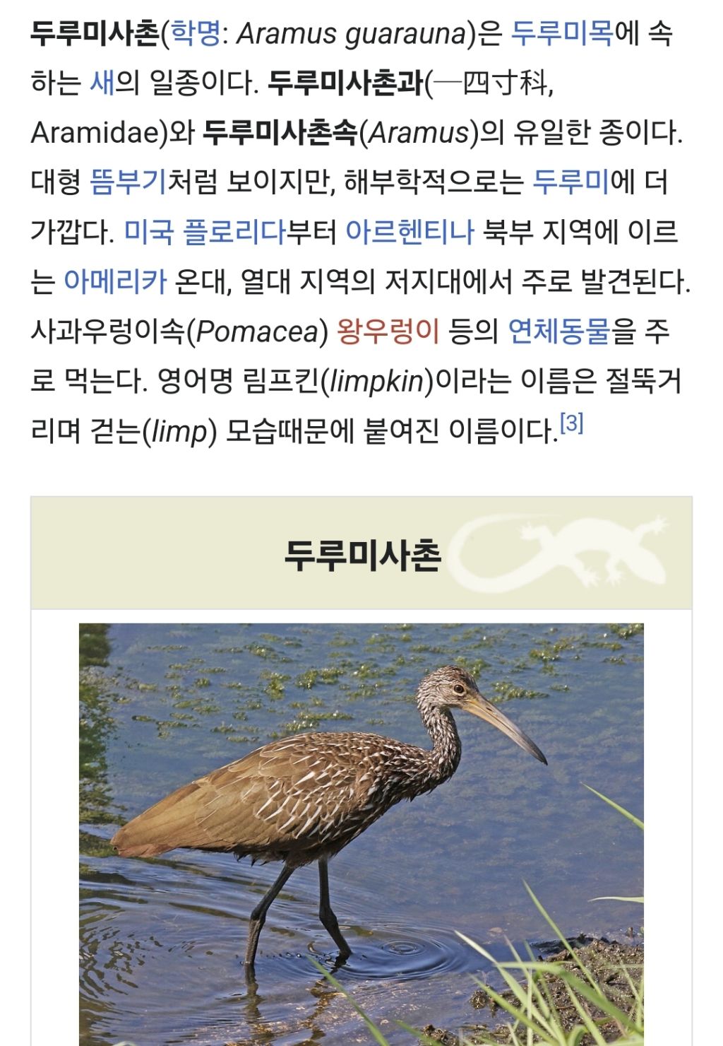 레전드 성의 없는거 같은 새 이름 | 인스티즈