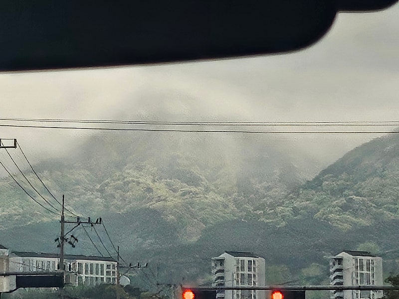  송화가루의 계절