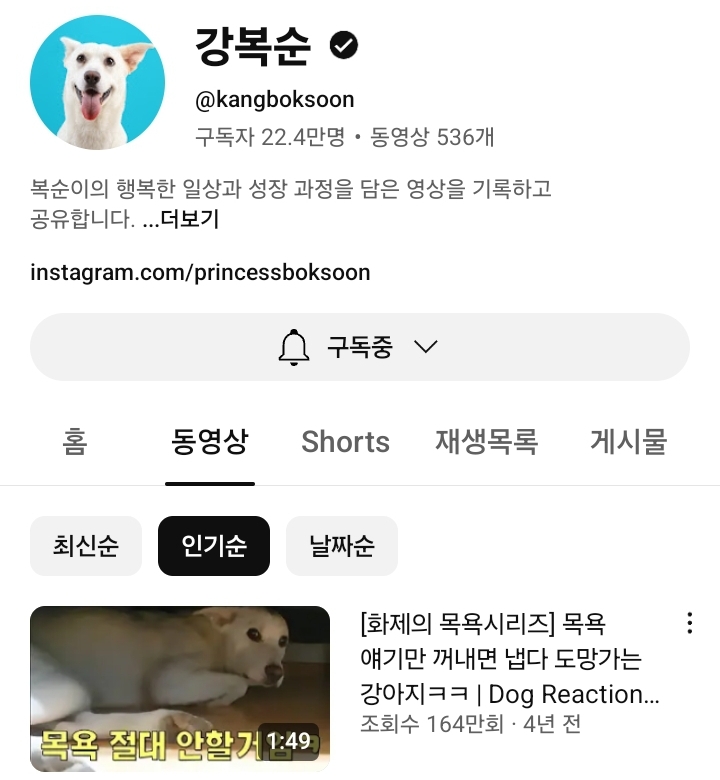  22만 유튜버 강복순 인성논란
