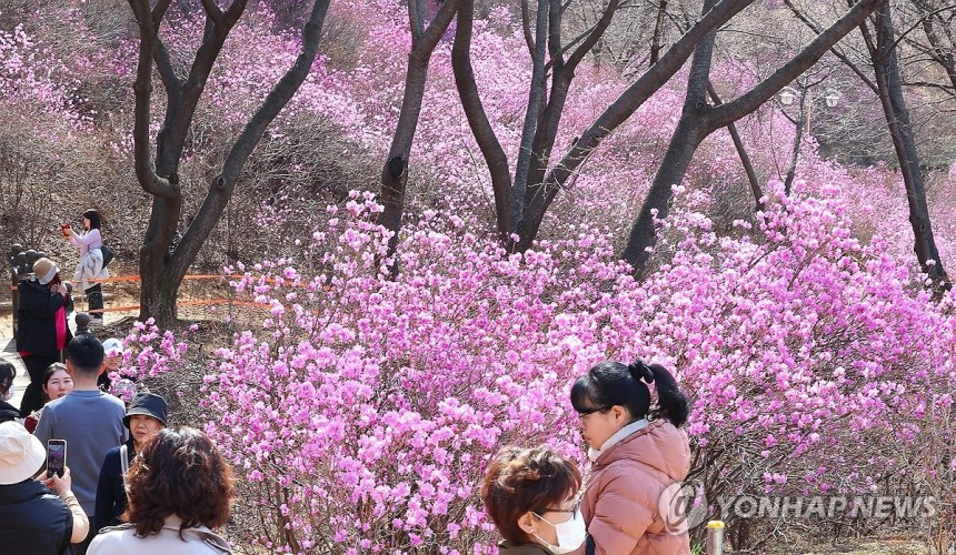 공무원의 광기를 보여주는 산 | 인스티즈