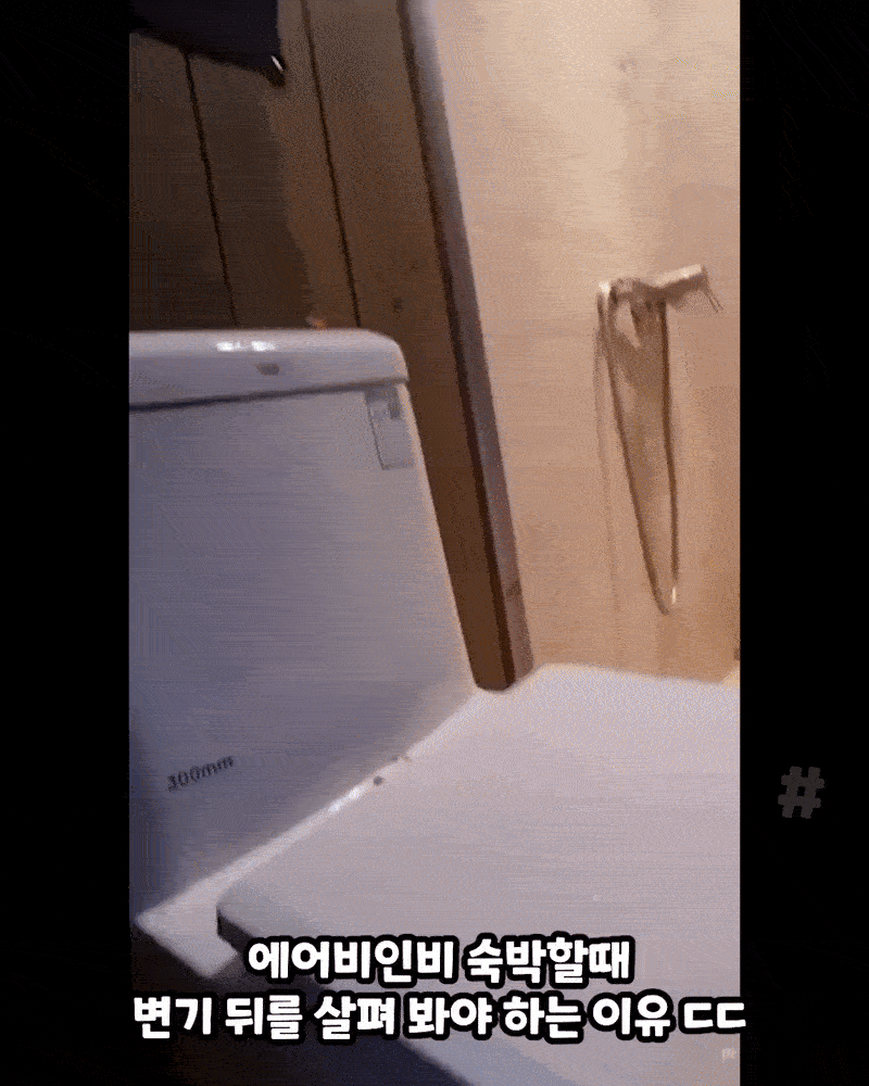 에어비앤비 숙박 할때 변기 뒤를 살펴 봐야 하는 이유 (놀람 주의)