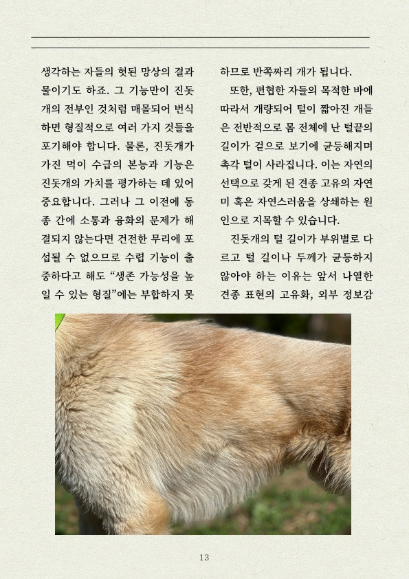 멧돼지 무리에 뛰어든 천재 '진돗개' | 인스티즈