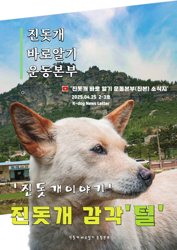  멧돼지 무리에 뛰어든 천재 &apos;진돗개&apos;1
