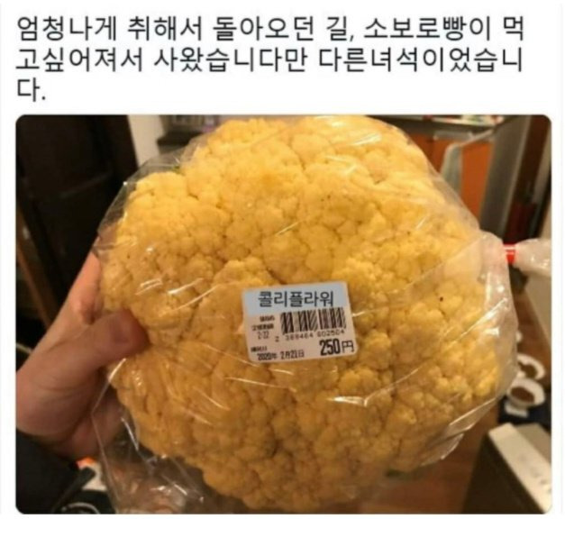  술 취해서 사온 소보로빵