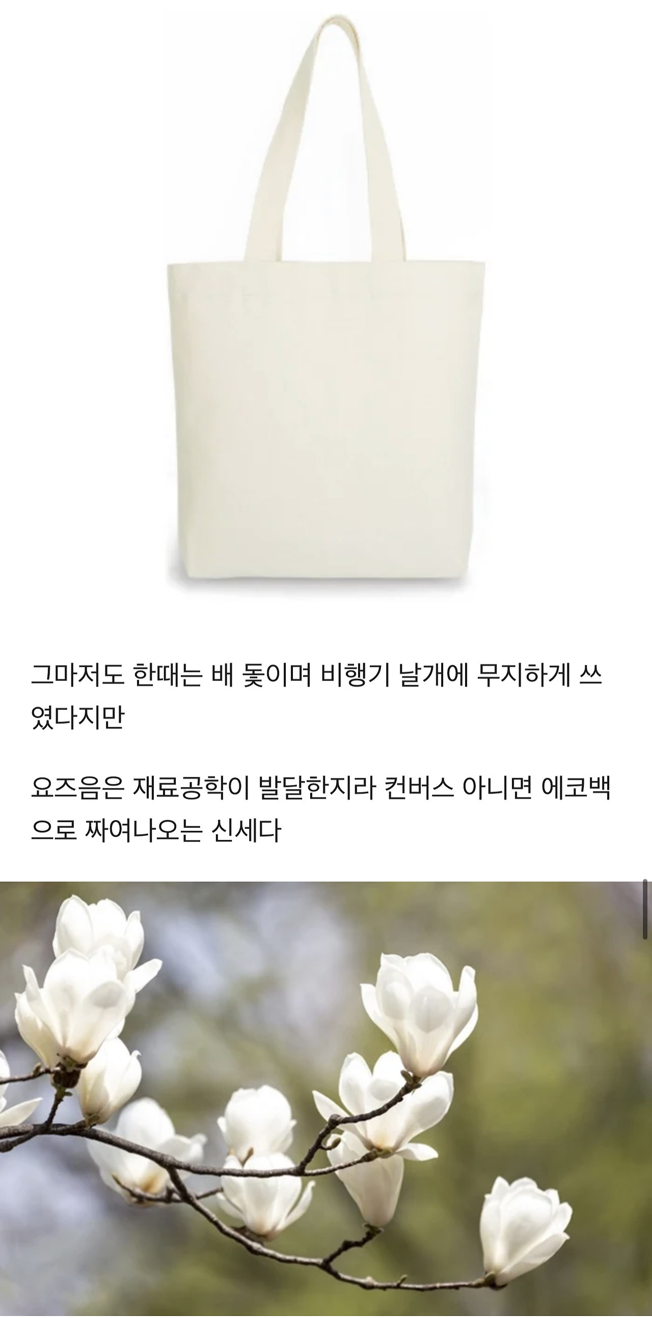 식물에 대한 TMI | 인스티즈