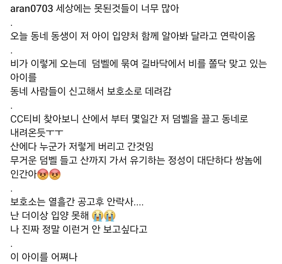 산 속에서 원판 덤벨에 묶여 유기된 강아지 | 인스티즈