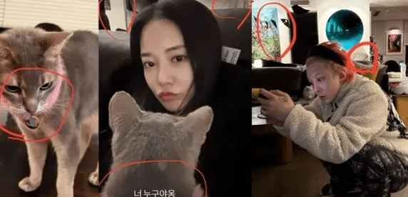 이주연 인스타 몰려가서 악플다는 지디팬들 | 인스티즈