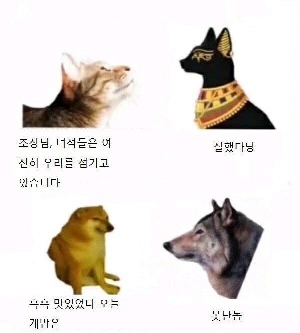 윽 이런게 나의 후손? | 인스티즈