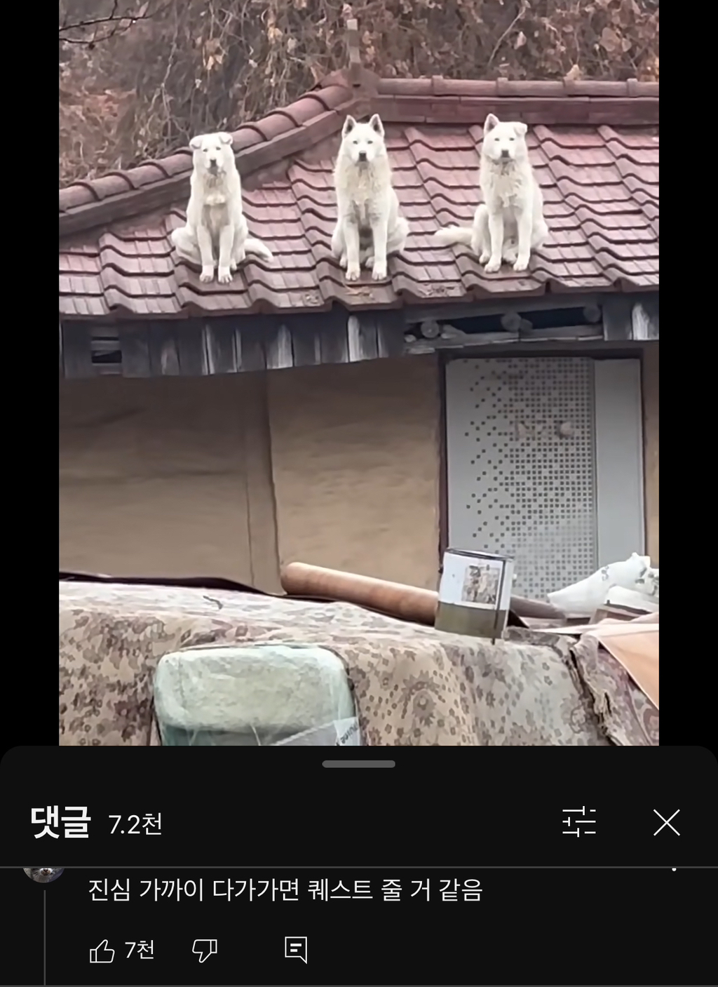 웃긴거19 | 인스티즈