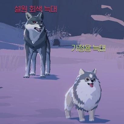  윽 이런게 나의 후손?