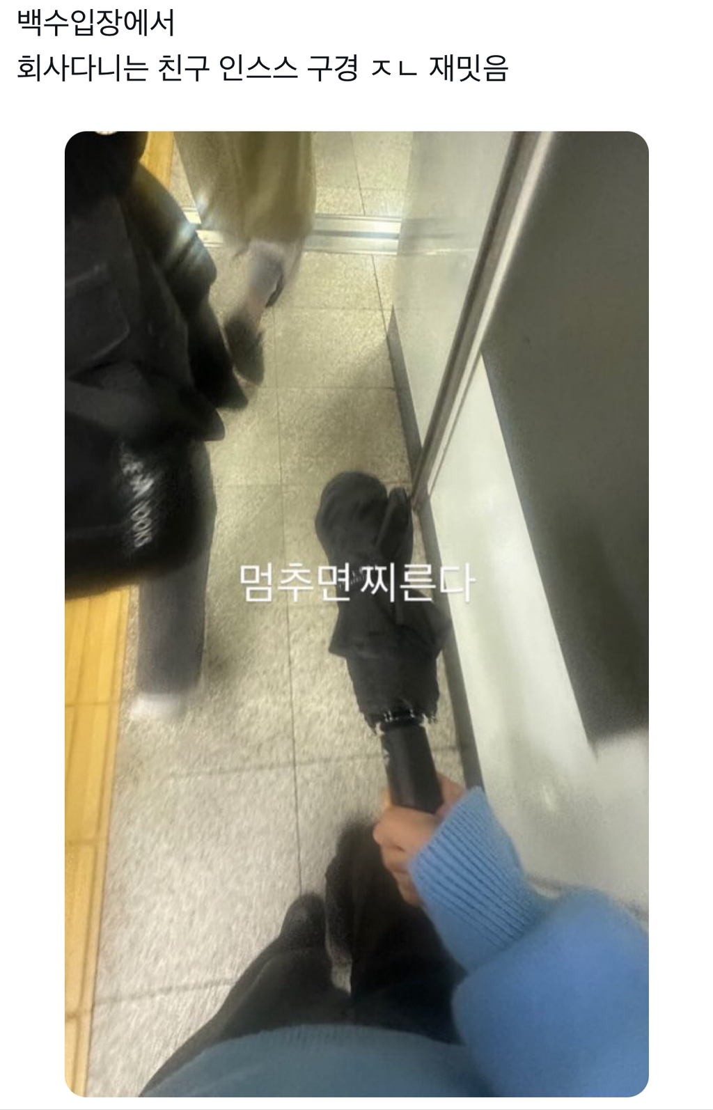 웃긴거19 | 인스티즈
