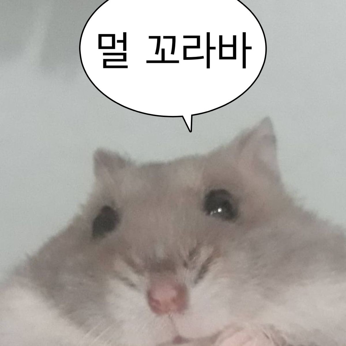 여자의 마음가짐 | 인스티즈