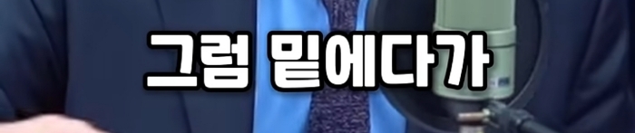 토론 나가서 말 한번 잘못했다고 형사 처벌 받는 나라가 OECD에 있으면 하나라도 대봐라 | 인스티즈