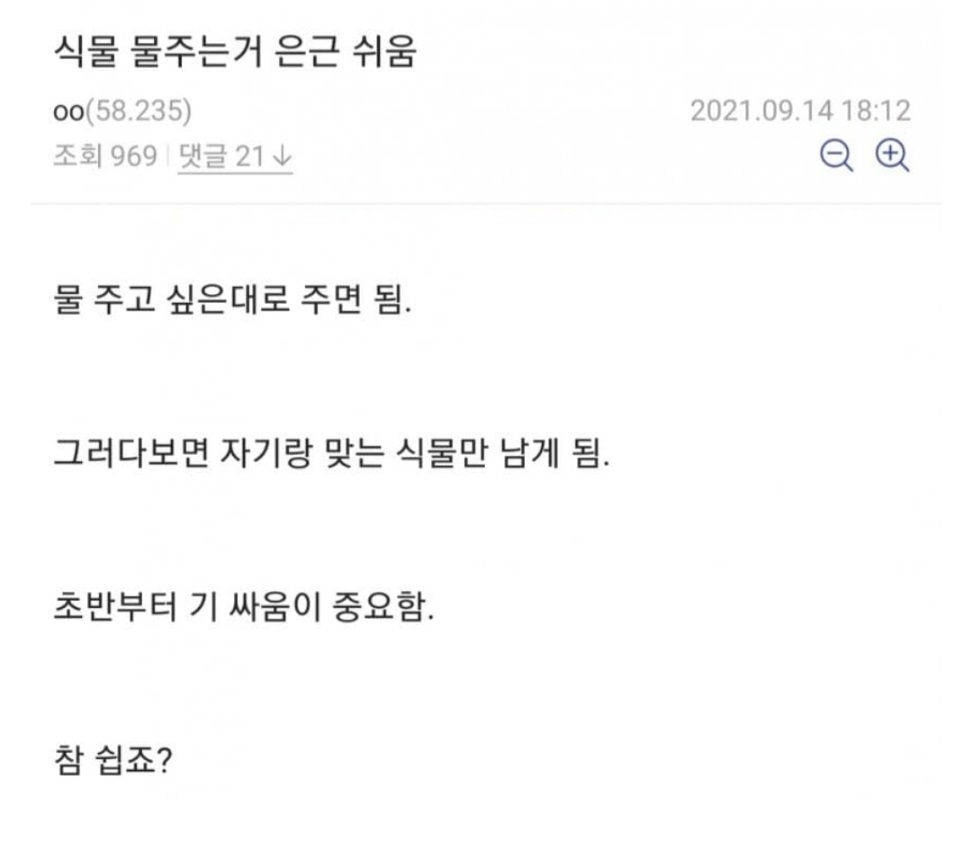 식물 물 주는거 은근 쉬움 | 인스티즈