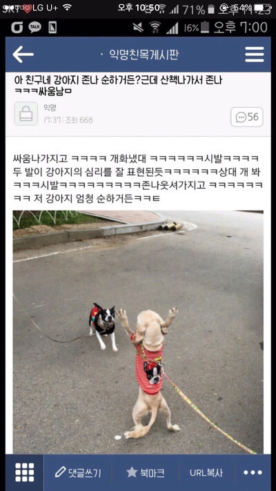 웃긴거19 | 인스티즈