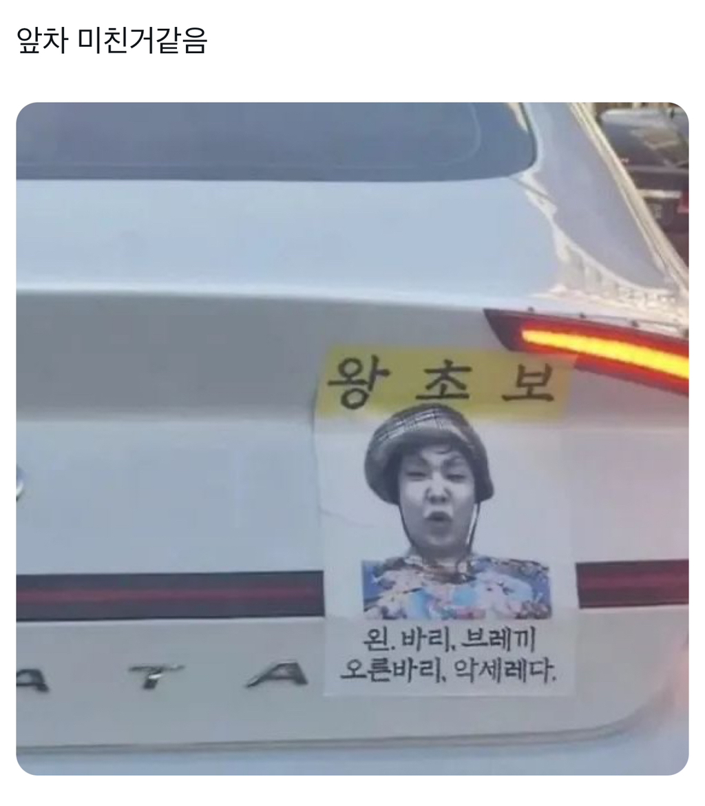 웃긴거19 | 인스티즈